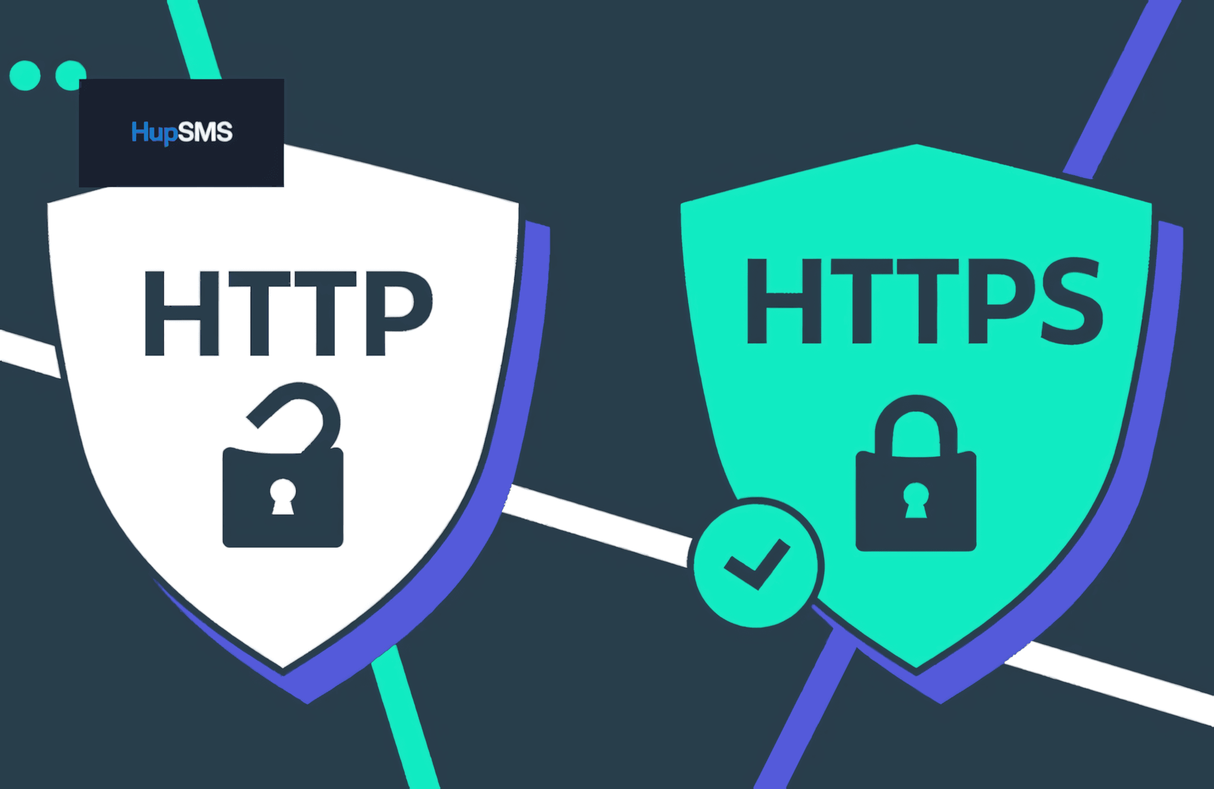 Các loại HTTP Proxy phổ biến