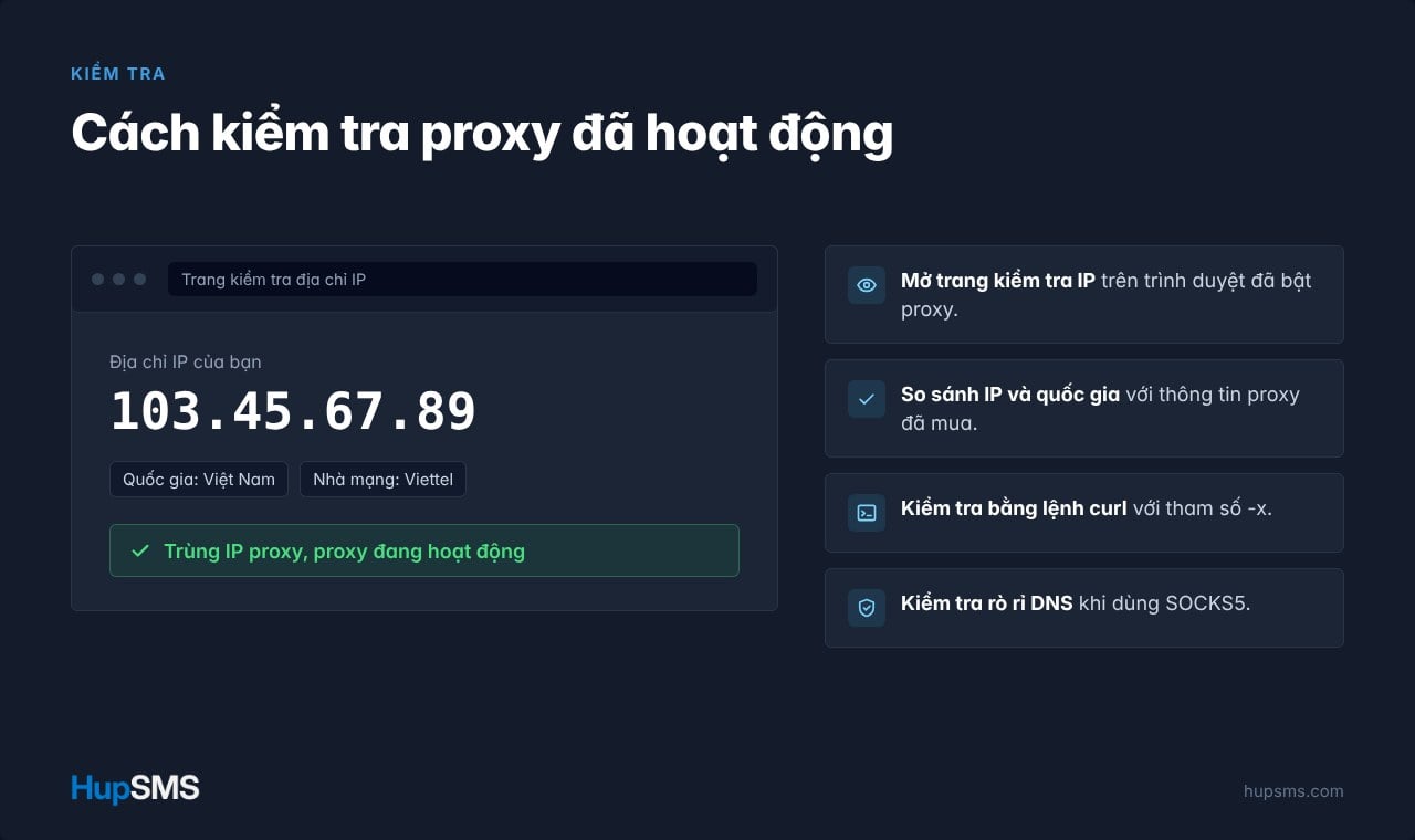 Các bước kiểm tra proxy đang hoạt động